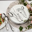 Bestekset Villeroy & Boch Mademoiselle - 68 delig - 6 persoons