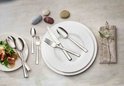 Bestekset Villeroy & Boch Victor - 68 delig - 12 persoons